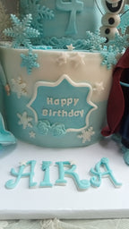 frozen theme cake 8 pounds handmade charachters