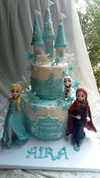 frozen theme cake 8 pounds handmade charachters