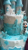 frozen theme cake 8 pounds handmade charachters