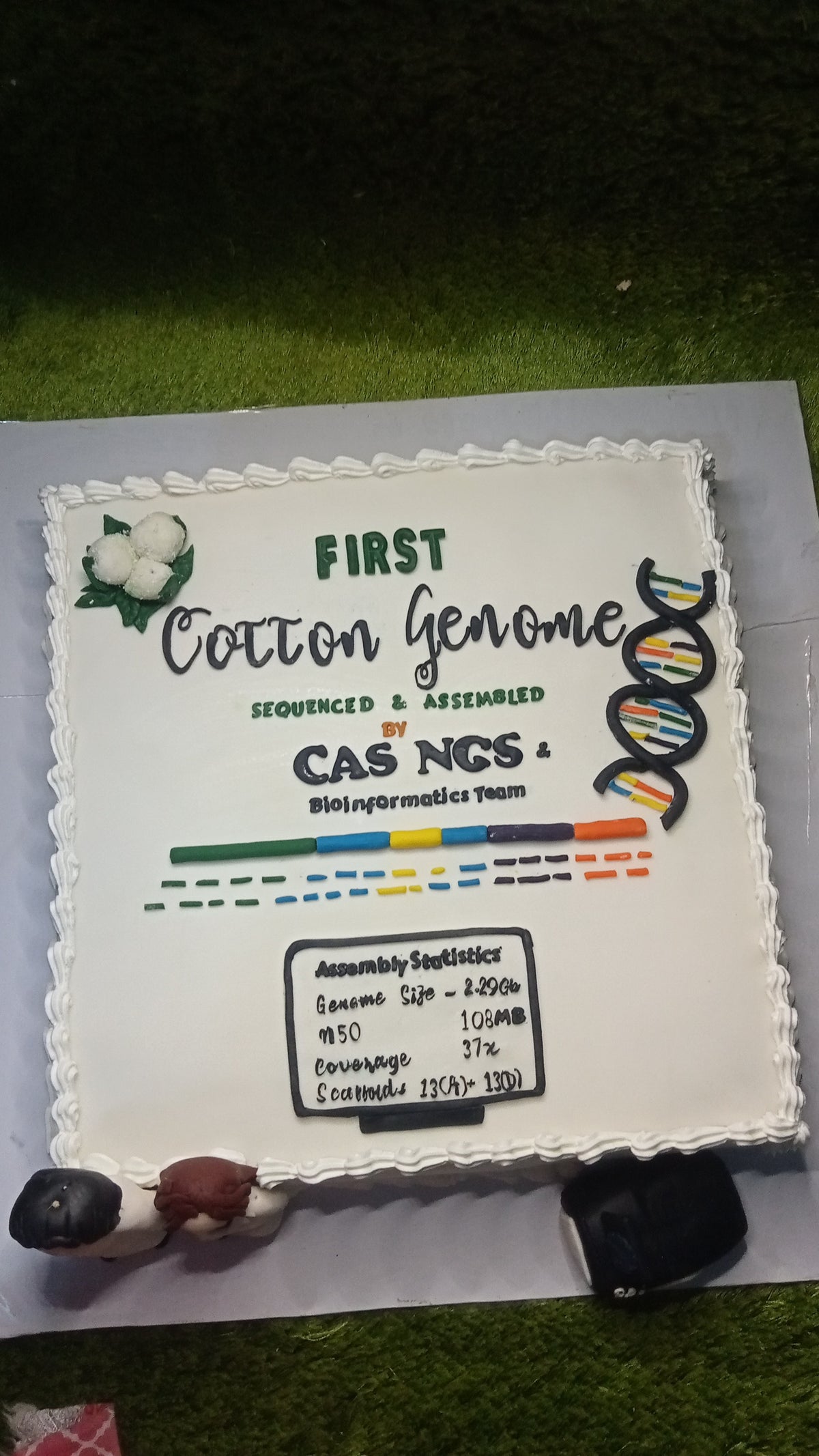 University of Agriculture CAS conference cake