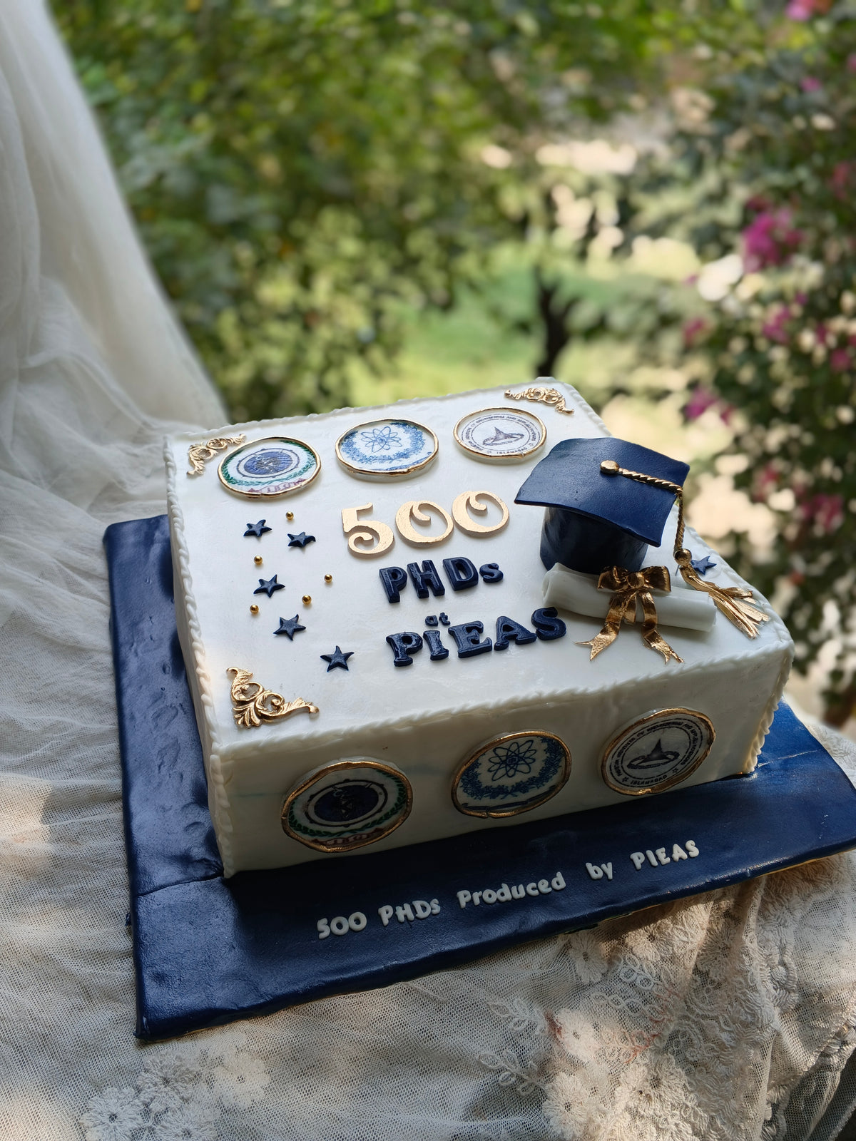 NIBGE 5000 PHDs cake with review